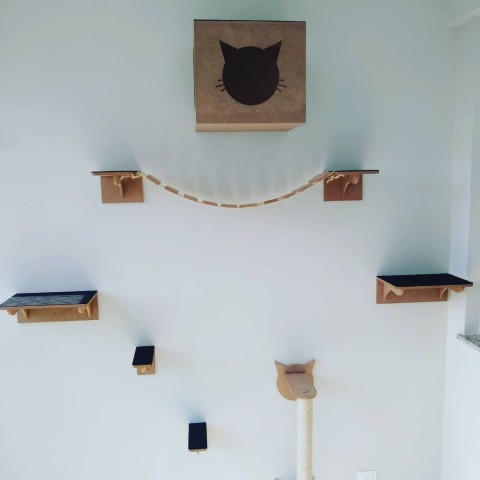 Cantinho dos gatos.